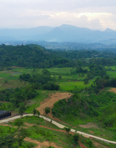 Kavling Kebun Durian.